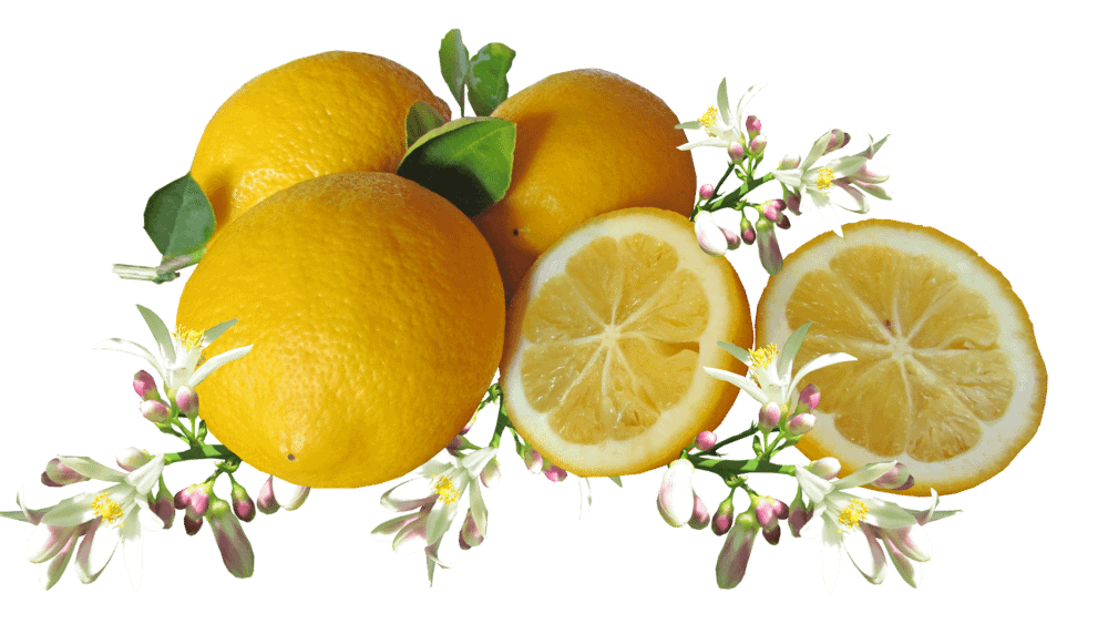 citroen ketodieet fruit