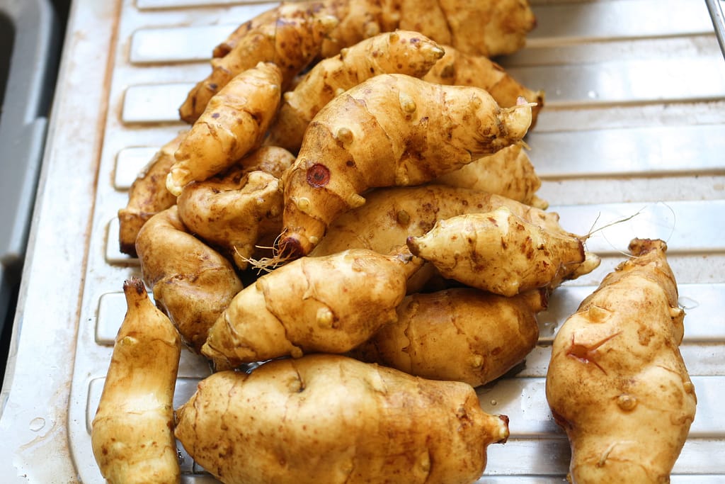 Aardperen