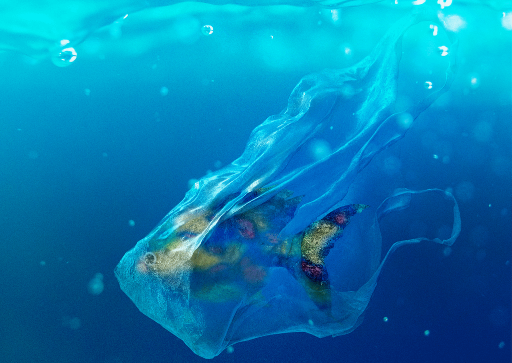 Vis gevangen in plastic