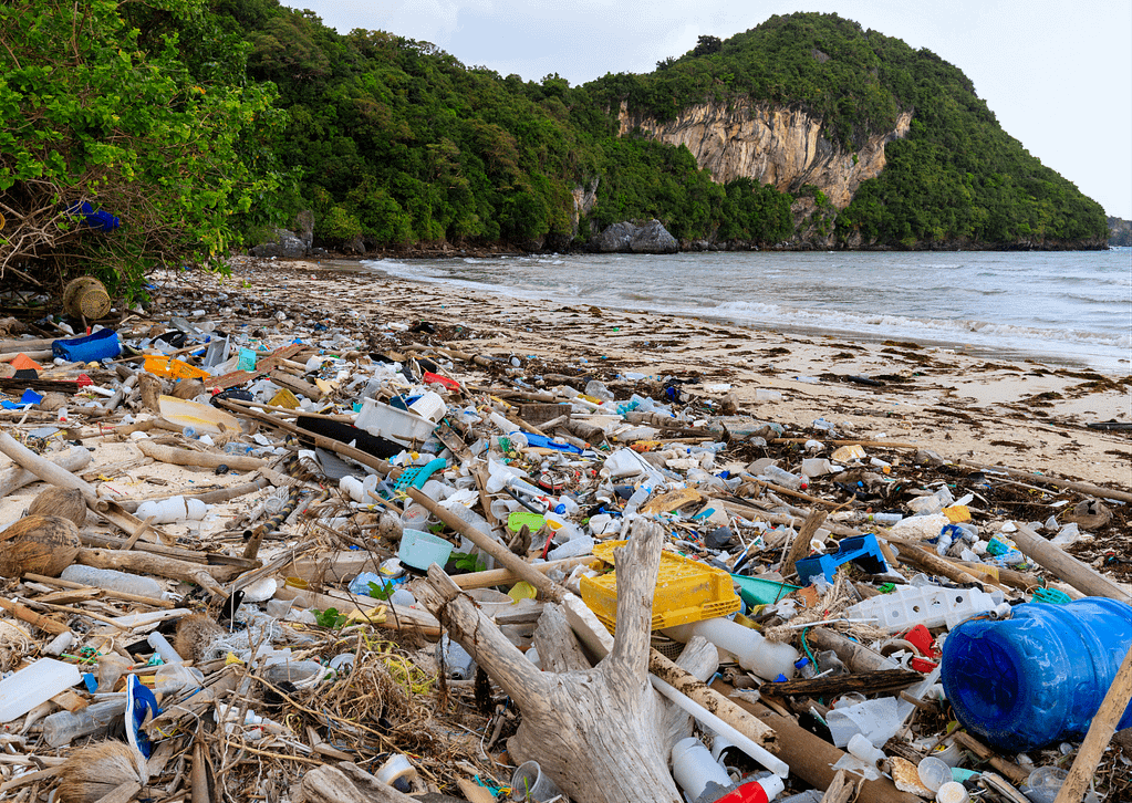 strand vervuilt met plastic