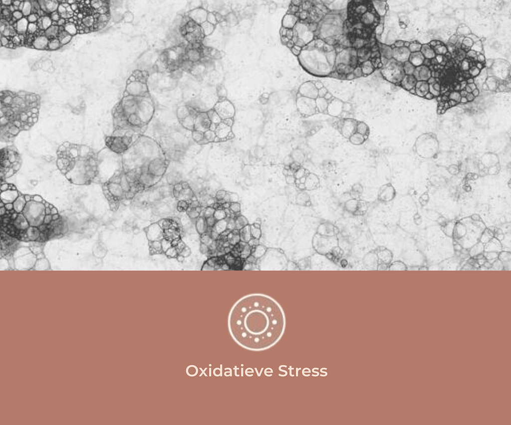 BioKissed strip test op Oxidatieve Stress
