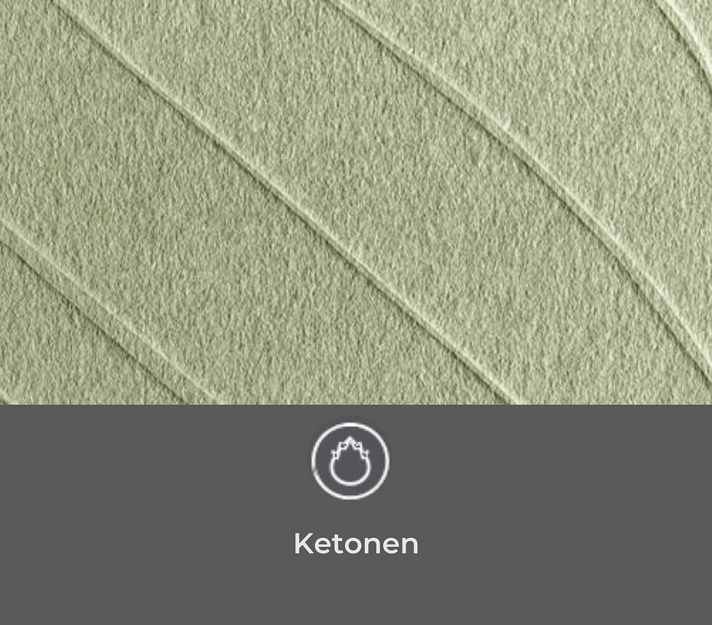 BioKissed Wellness App test op Ketonen