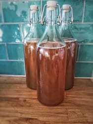 kombucha in flessen