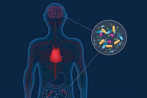 Neurotransmitters bewegen tussen je darmen en hersenen.