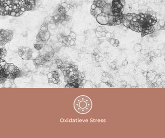 BioKissed strip test op Oxidatieve Stress