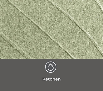 BioKissed Wellness App test op Ketonen