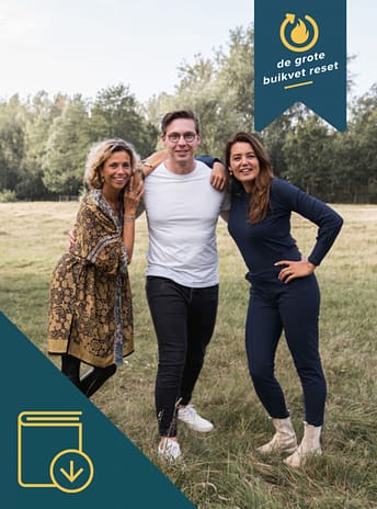 E-book buikvet reset