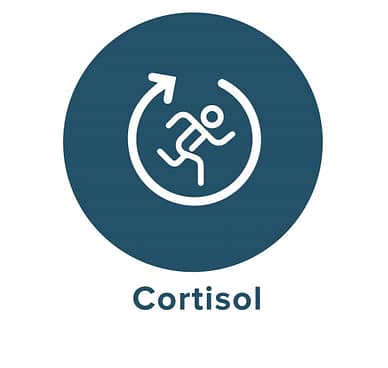 Cortisol icon