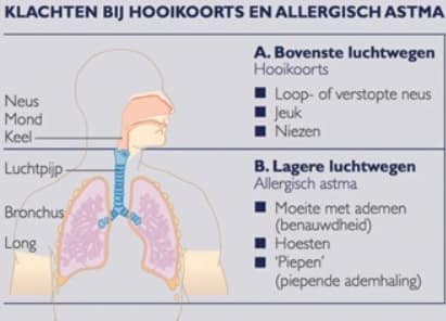 klachten bij hooikoorts en astma
