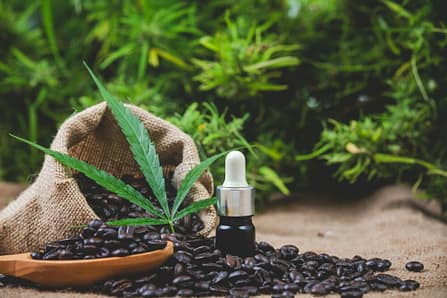 CBD-olie in flesjes met cannabis blad