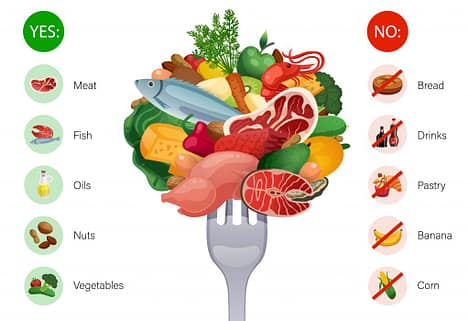 Keto wat mag je eten en wat niet