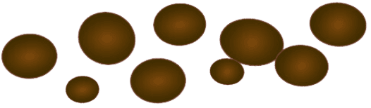 Gezonde ontlasting Type 1