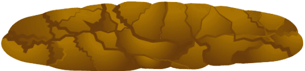 Gezonde ontlasting Type 3