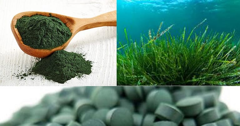 Spirulina alg, poeder en tabletten