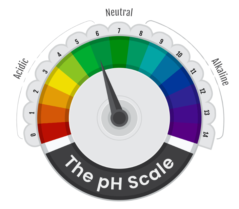 Wat is de Ph waarde van je lichaam